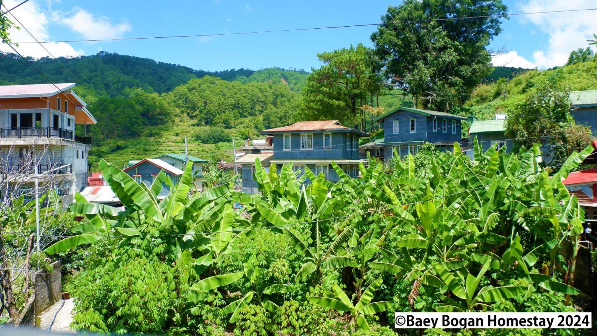 Baey Bogan Homestay Sagada Buitenkant foto
