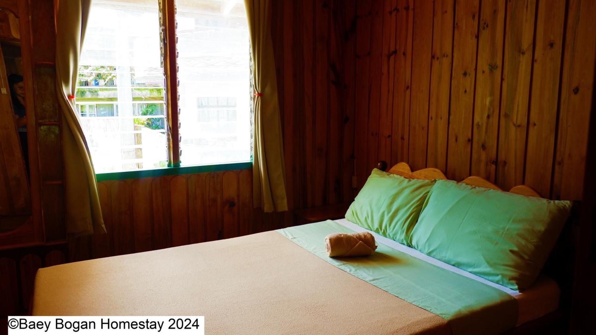 Baey Bogan Homestay Sagada Buitenkant foto