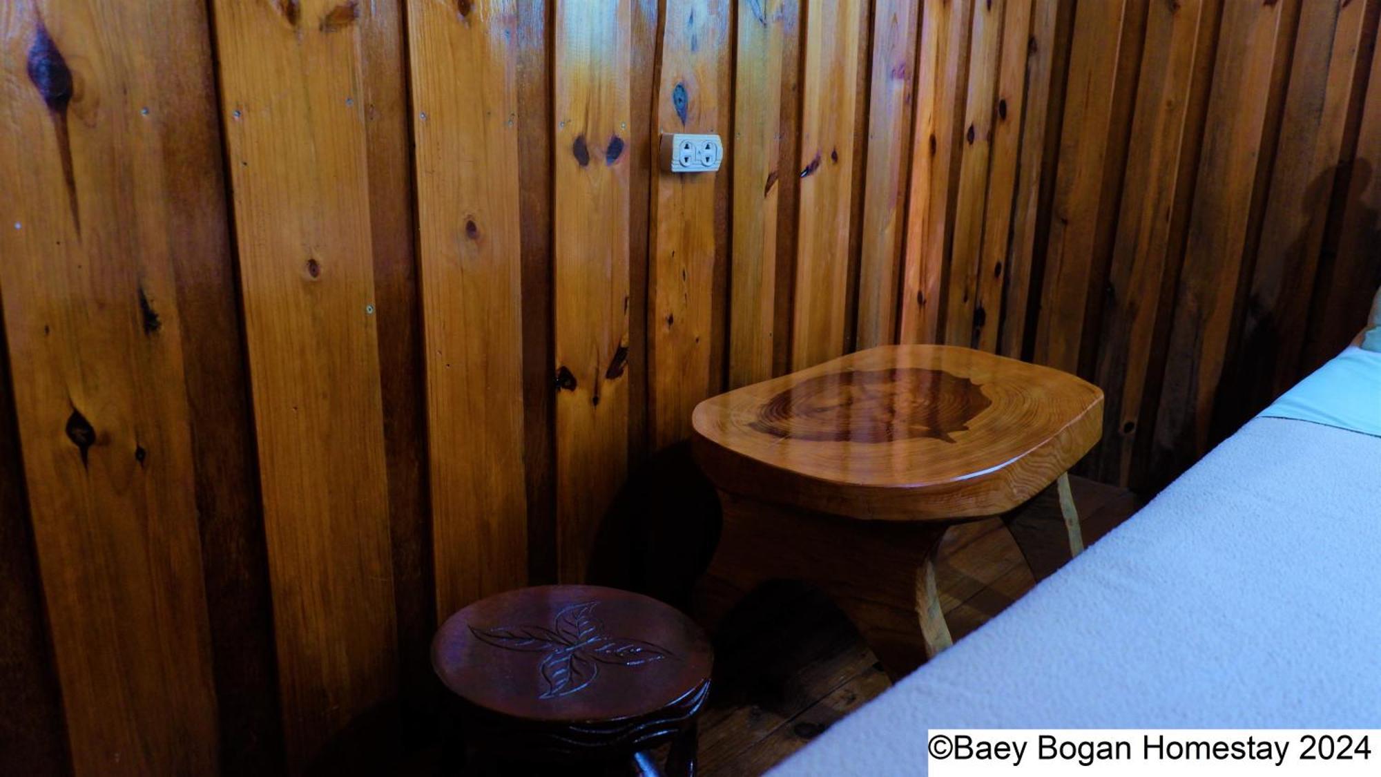 Baey Bogan Homestay Sagada Buitenkant foto