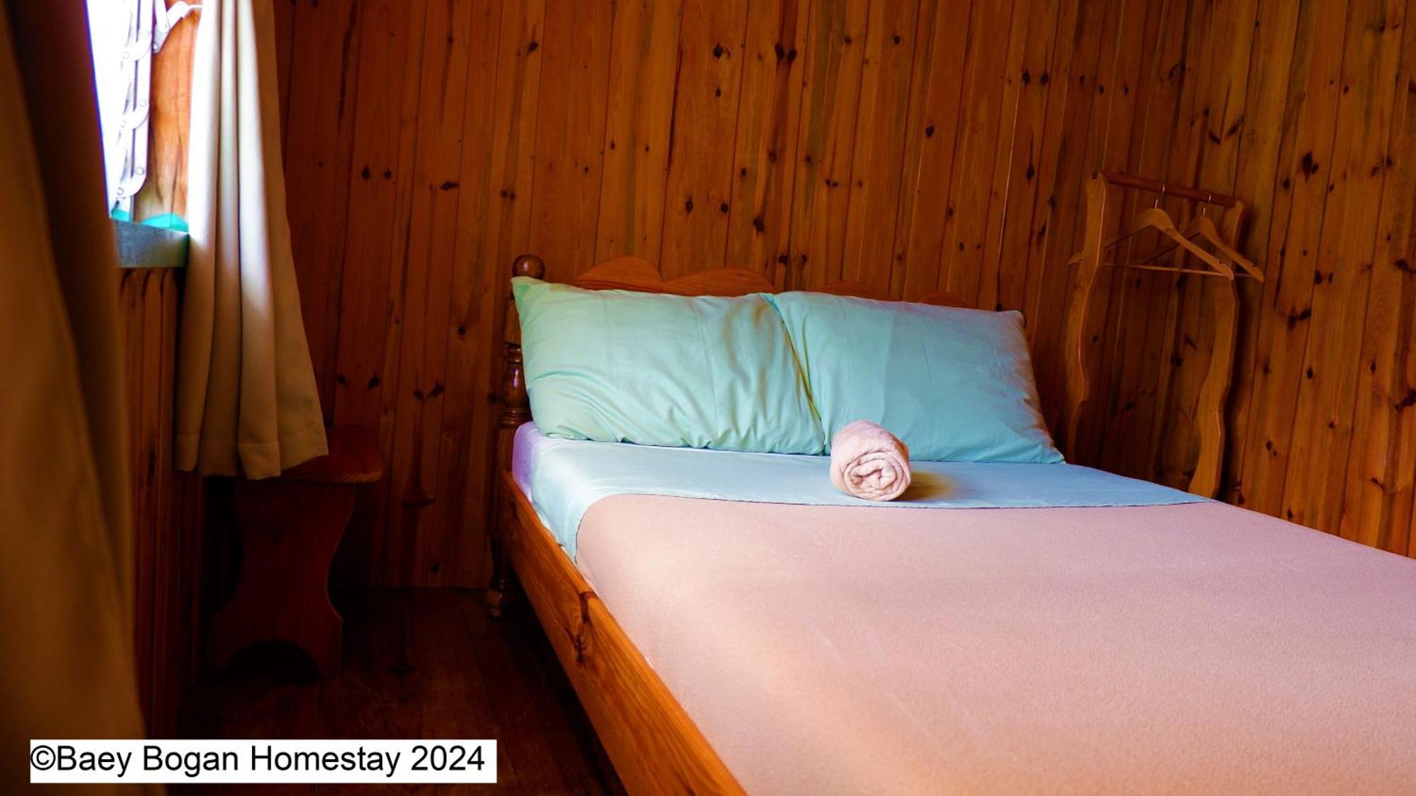 Baey Bogan Homestay Sagada Buitenkant foto