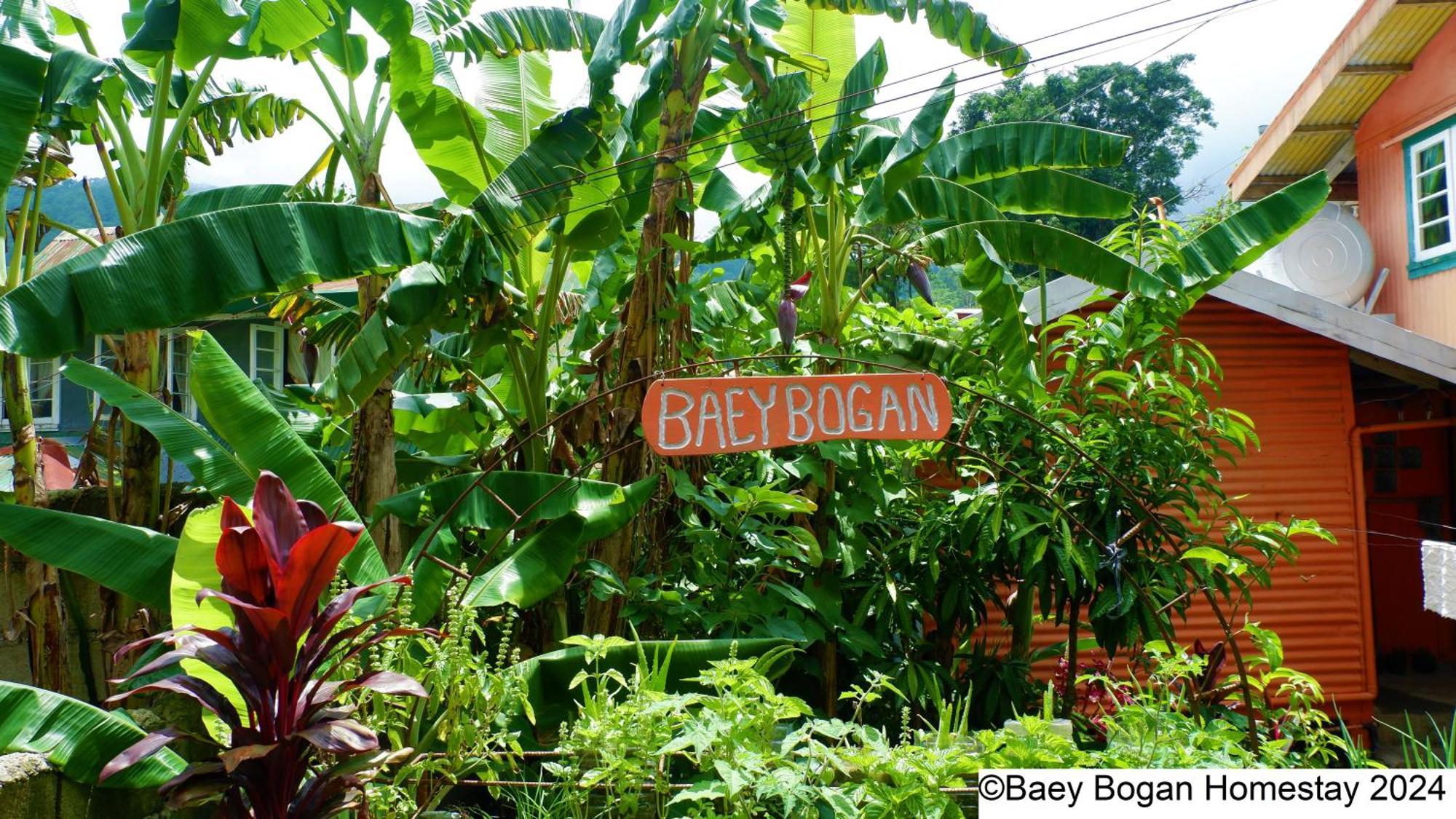 Baey Bogan Homestay Sagada Buitenkant foto