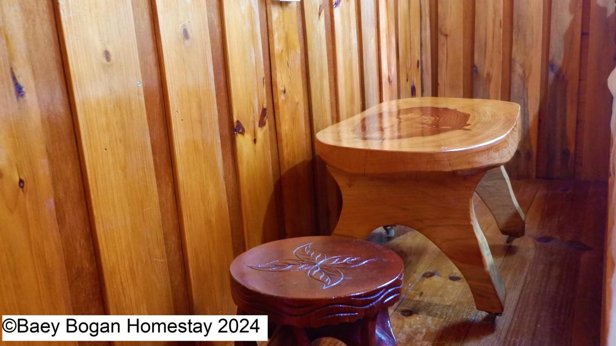 Baey Bogan Homestay Sagada Buitenkant foto