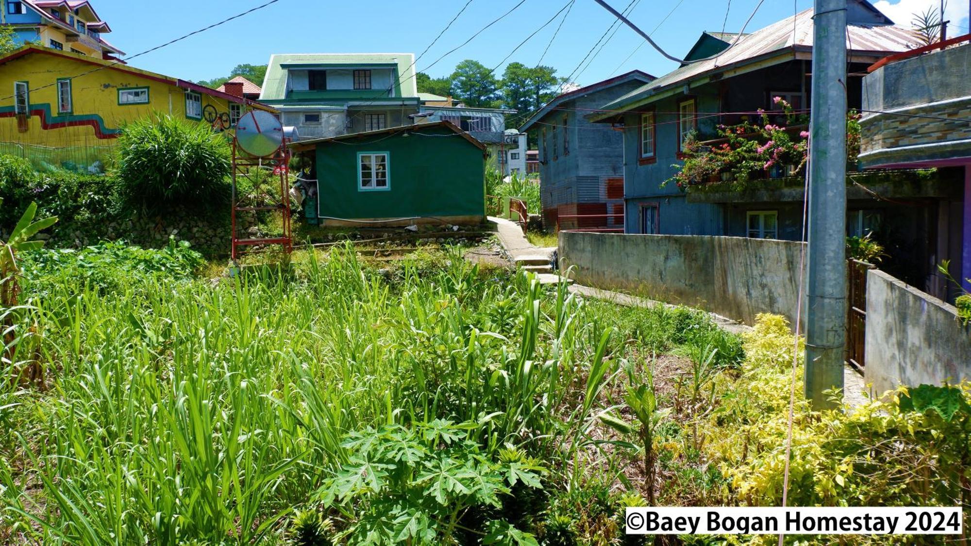 Baey Bogan Homestay Sagada Buitenkant foto