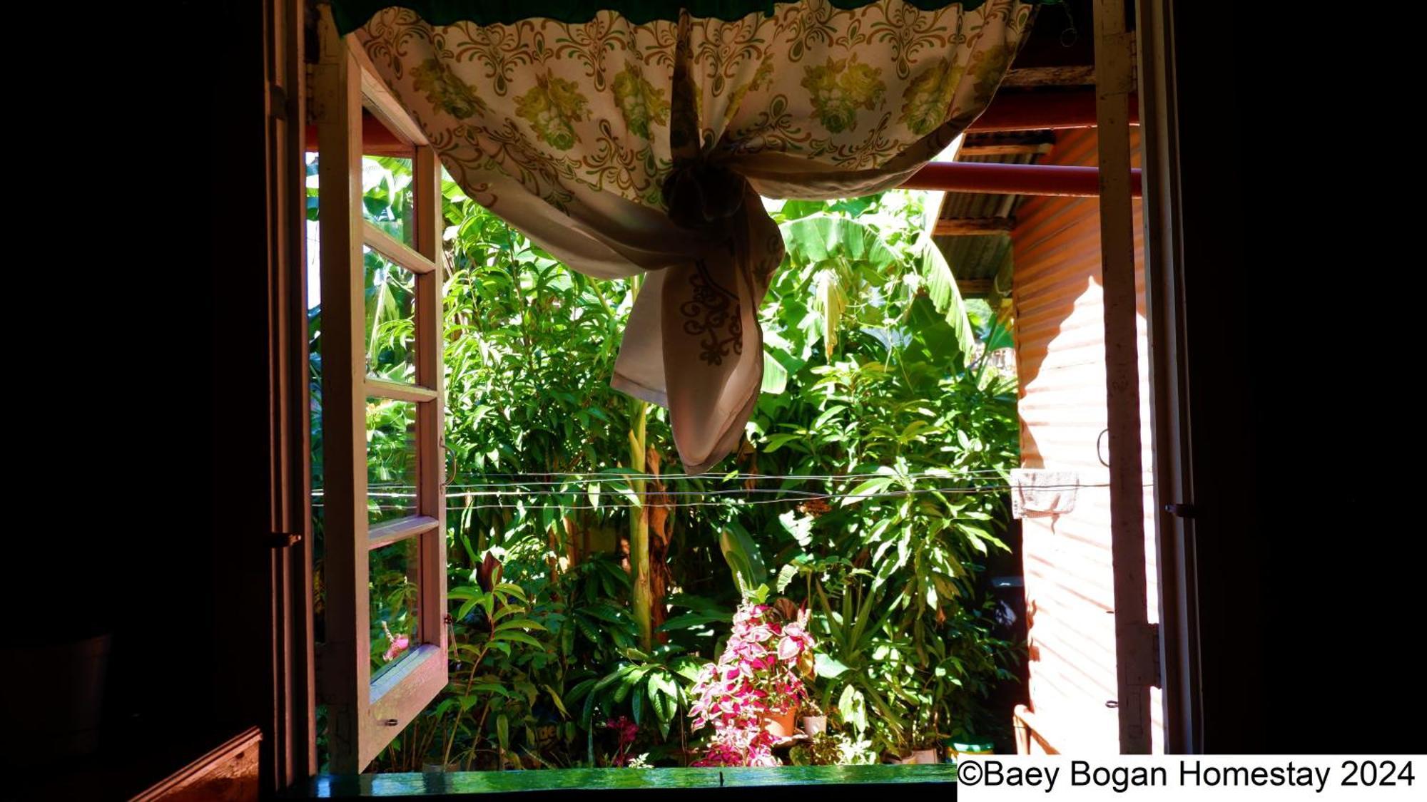Baey Bogan Homestay Sagada Buitenkant foto
