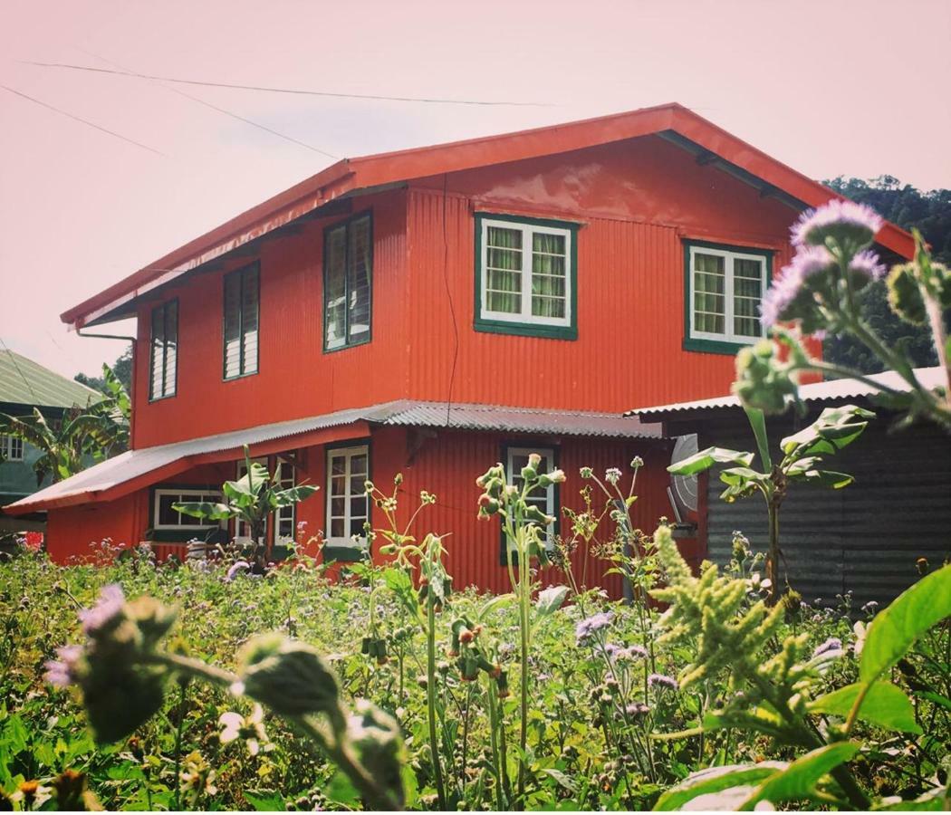 Baey Bogan Homestay Sagada Buitenkant foto